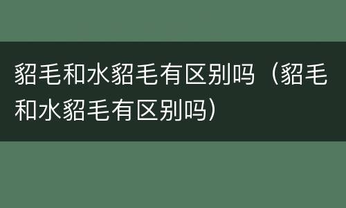 貂毛和水貂毛有区别吗（貂毛和水貂毛有区别吗）