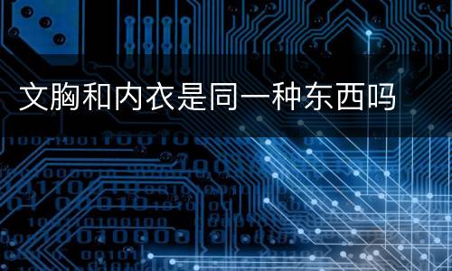 文胸和内衣是同一种东西吗