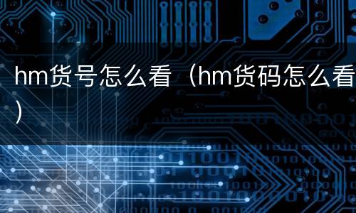 hm货号怎么看（hm货码怎么看）