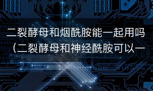 二裂酵母和烟酰胺能一起用吗（二裂酵母和神经酰胺可以一起用吗）