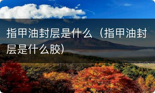 指甲油封层是什么（指甲油封层是什么胶）