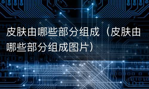 皮肤由哪些部分组成（皮肤由哪些部分组成图片）