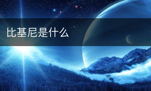 比基尼是什么