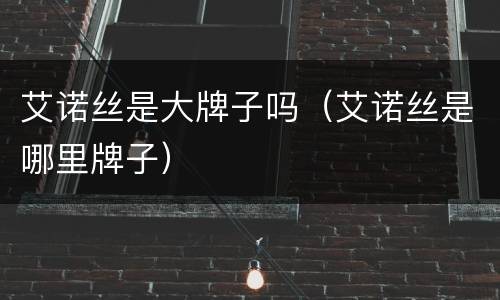 艾诺丝是大牌子吗（艾诺丝是哪里牌子）