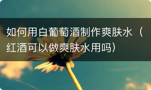 如何用白葡萄酒制作爽肤水（红酒可以做爽肤水用吗）