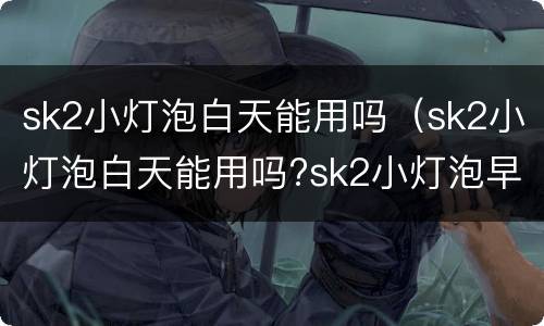 sk2小灯泡白天能用吗（sk2小灯泡白天能用吗?sk2小灯泡早晚都要用吗?）