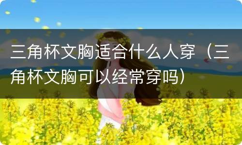 三角杯文胸适合什么人穿（三角杯文胸可以经常穿吗）