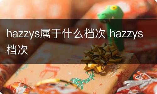 hazzys属于什么档次 hazzys 档次