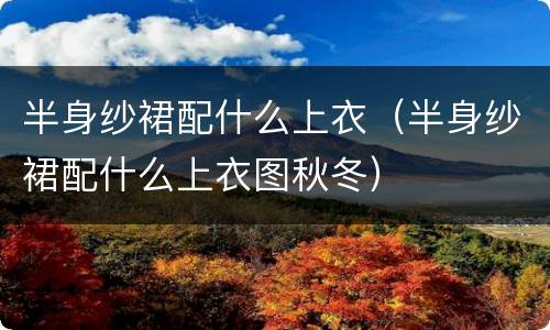 半身纱裙配什么上衣（半身纱裙配什么上衣图秋冬）