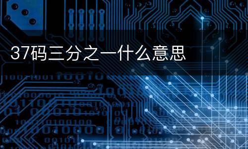 37码三分之一什么意思