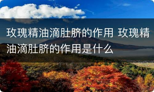 玫瑰精油滴肚脐的作用 玫瑰精油滴肚脐的作用是什么