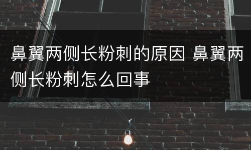 鼻翼两侧长粉刺的原因 鼻翼两侧长粉刺怎么回事