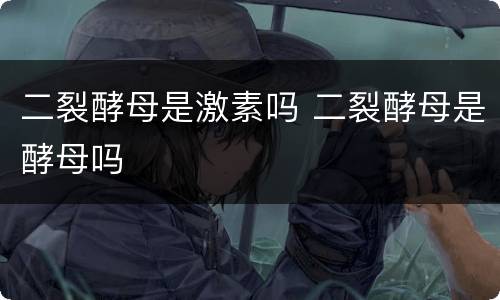 二裂酵母是激素吗 二裂酵母是酵母吗