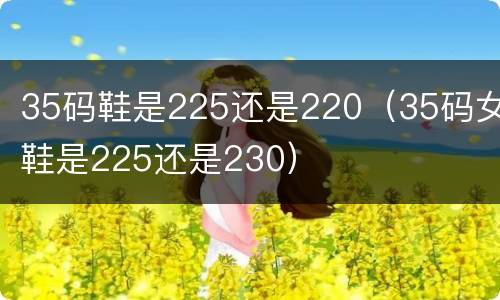 35码鞋是225还是220（35码女鞋是225还是230）