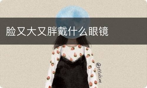 脸又大又胖戴什么眼镜