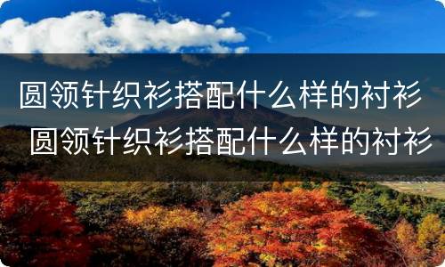 圆领针织衫搭配什么样的衬衫 圆领针织衫搭配什么样的衬衫女