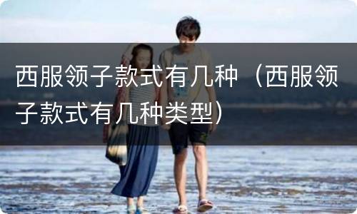 西服领子款式有几种（西服领子款式有几种类型）