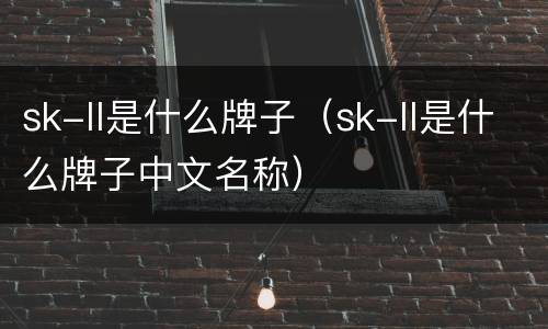 sk-ll是什么牌子（sk-ll是什么牌子中文名称）