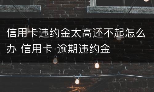 信用卡违约金太高还不起怎么办 信用卡 逾期违约金
