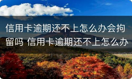 信用卡逾期还不上怎么办会拘留吗 信用卡逾期还不上怎么办会拘留吗
