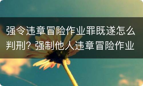 强令违章冒险作业罪既遂怎么判刑? 强制他人违章冒险作业罪