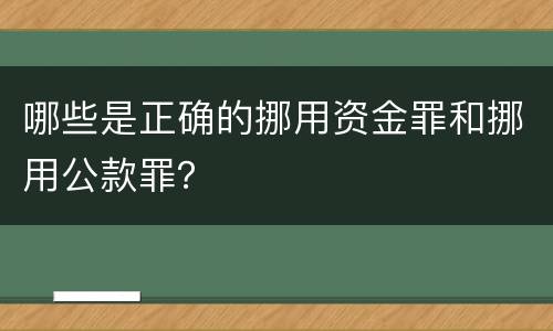 哪些是正确的挪用资金罪和挪用公款罪？