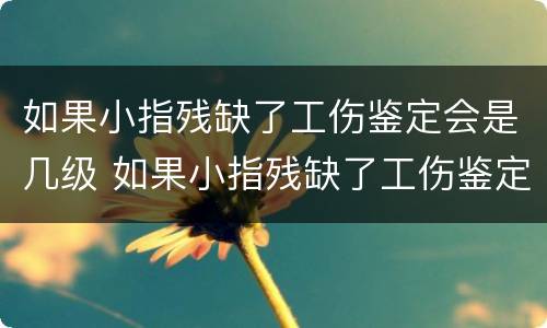如果小指残缺了工伤鉴定会是几级 如果小指残缺了工伤鉴定会是几级残疾
