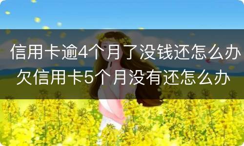 信用卡逾4个月了没钱还怎么办 欠信用卡5个月没有还怎么办