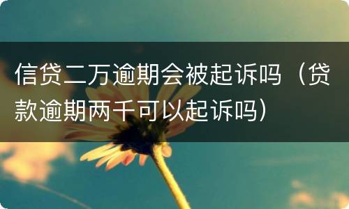 信贷二万逾期会被起诉吗（贷款逾期两千可以起诉吗）