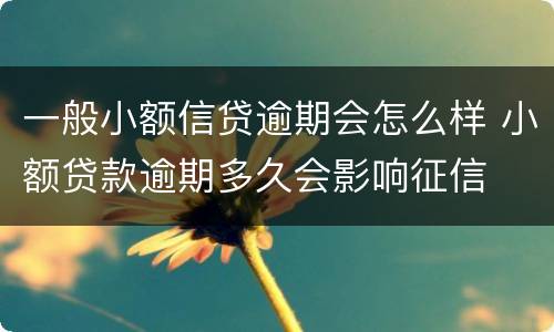 一般小额信贷逾期会怎么样 小额贷款逾期多久会影响征信