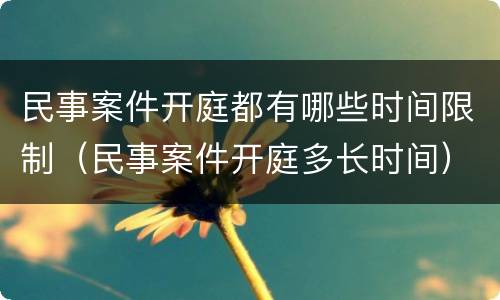 民事案件开庭都有哪些时间限制（民事案件开庭多长时间）