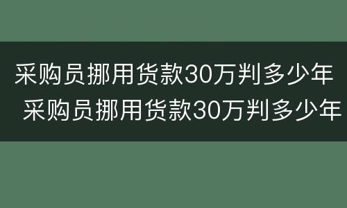 采购员挪用货款30万判多少年 采购员挪用货款30万判多少年呢