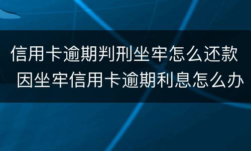 信用卡逾期判刑坐牢怎么还款 因坐牢信用卡逾期利息怎么办