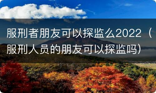 服刑者朋友可以探监么2022（服刑人员的朋友可以探监吗）