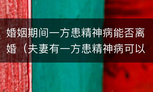婚姻期间一方患精神病能否离婚（夫妻有一方患精神病可以离婚吗）