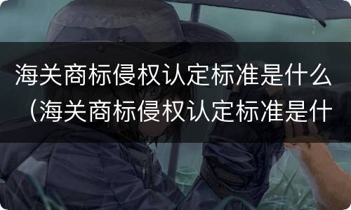海关商标侵权认定标准是什么（海关商标侵权认定标准是什么意思）