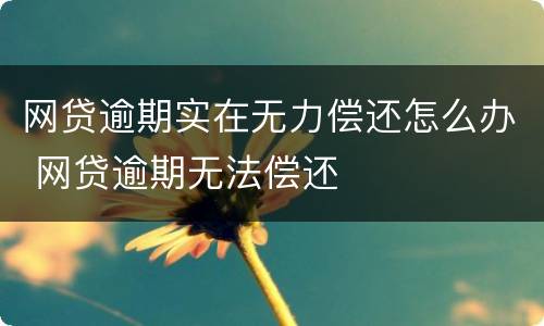 网贷逾期实在无力偿还怎么办 网贷逾期无法偿还