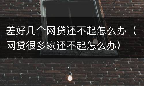 差好几个网贷还不起怎么办（网贷很多家还不起怎么办）