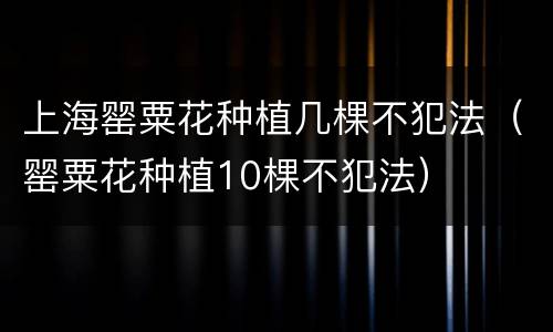 上海罂粟花种植几棵不犯法（罂粟花种植10棵不犯法）