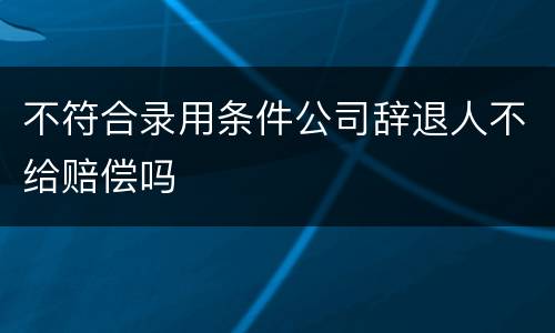 不符合录用条件公司辞退人不给赔偿吗