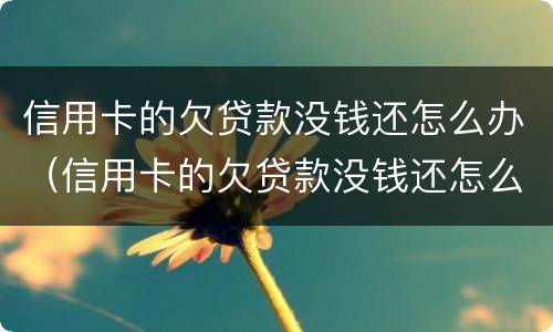 信用卡的欠贷款没钱还怎么办（信用卡的欠贷款没钱还怎么办呢）