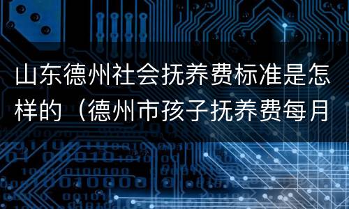 山东德州社会抚养费标准是怎样的（德州市孩子抚养费每月规定多少）