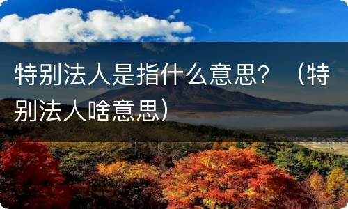 特别法人是指什么意思？（特别法人啥意思）