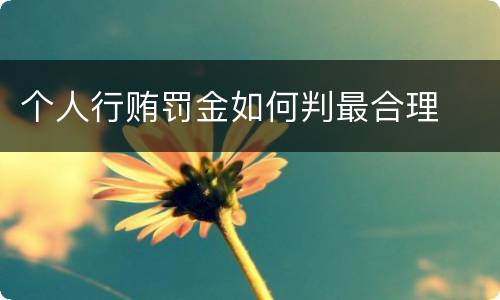 个人行贿罚金如何判最合理