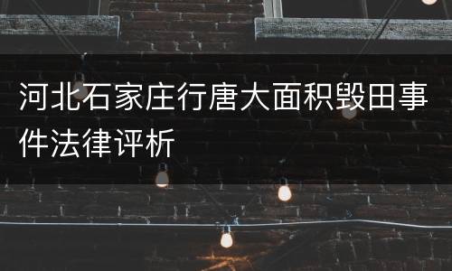 河北石家庄行唐大面积毁田事件法律评析