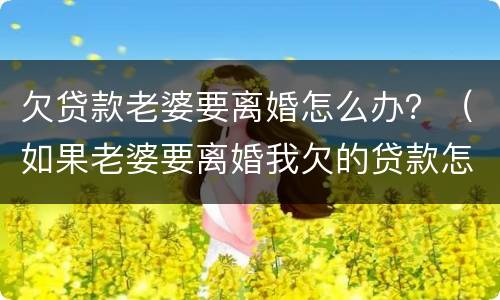 欠贷款老婆要离婚怎么办？（如果老婆要离婚我欠的贷款怎么办）