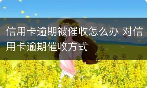 信用卡逾期被催收怎么办 对信用卡逾期催收方式