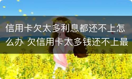 信用卡欠太多利息都还不上怎么办 欠信用卡太多钱还不上最好的办法是