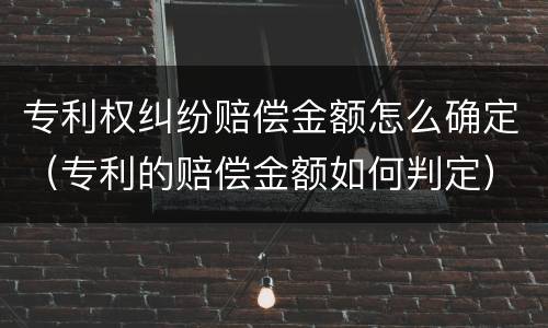 专利权纠纷赔偿金额怎么确定（专利的赔偿金额如何判定）