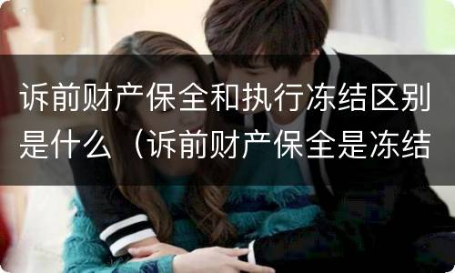 诉前财产保全和执行冻结区别是什么（诉前财产保全是冻结所有资产吗）